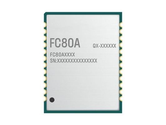 Modulo di comunicazione wireless FCM100DAAMD fino a 2,4 GHz Modulo trasmettitore RF