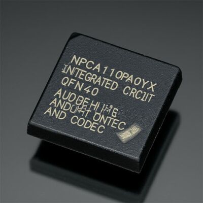 NPCA110PA0YX chip di circuito integrato con 24 bit di risoluzione 96 dB SNR Audio Enhancement Engine e CODEC con algoritmo MaxxAudio