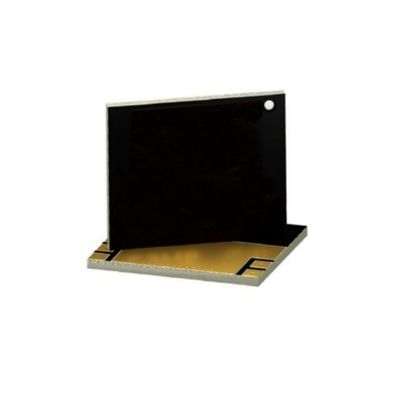 Chip di circuito integrato GS-065-060-5-B-A-TR Transistor MOSFET per automobili 650V 60A